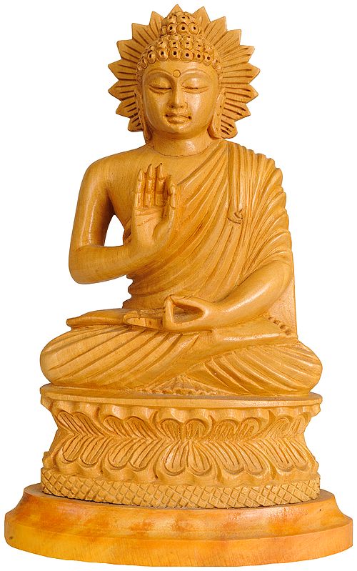 Lord Buddha in Vitark Mudra