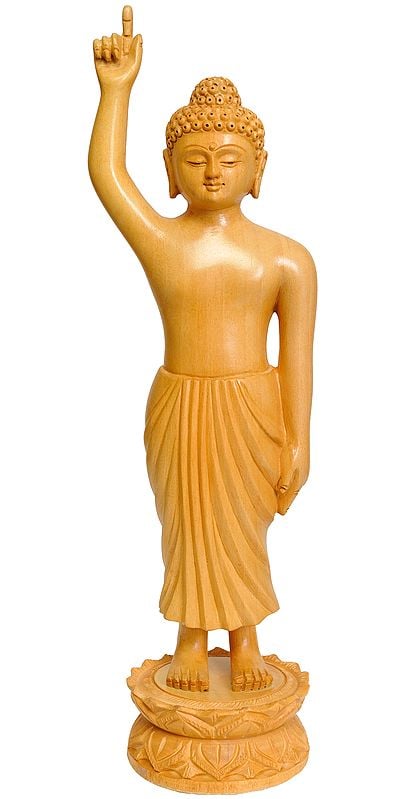 11" Gautam Buddha (With Lotus Springing Under His Feet at Time of His Birth)