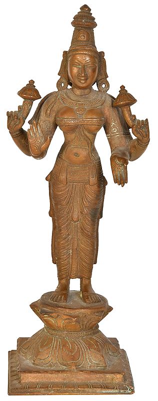 Goddess Lakshmi from South India