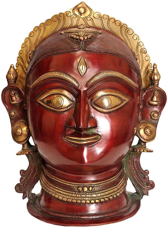 11" Goddess Parvati Head In Brass | Handmade | Made In India