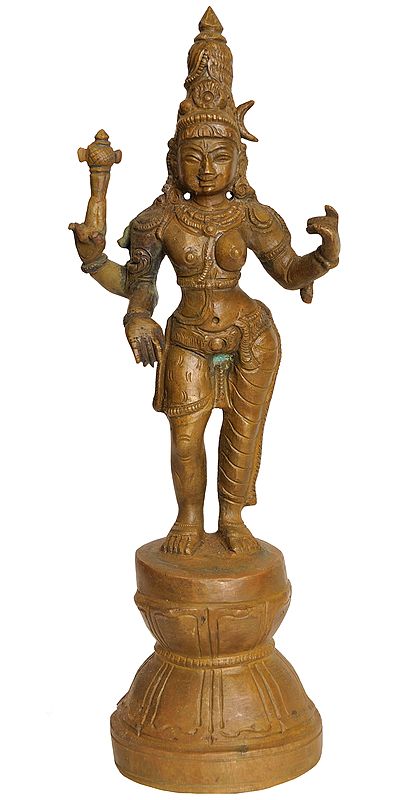 Ardhanarishvara (Shiva Shakti)