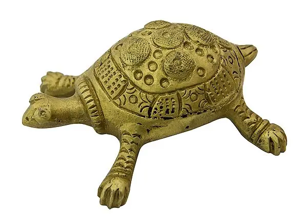 Vastu Tortoise