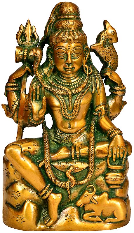 8" Lord Shiva as Pashupatinath In Brass | Handmade | Made In India
