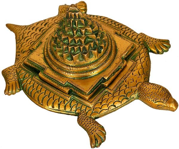 Shri Yantra on Tortoise (Auspicious According To Vastu)