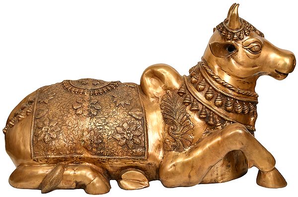 36" Nandi - The Vehicle of Lord Shiva (Large Size) In Brass | Handmade | Made In India