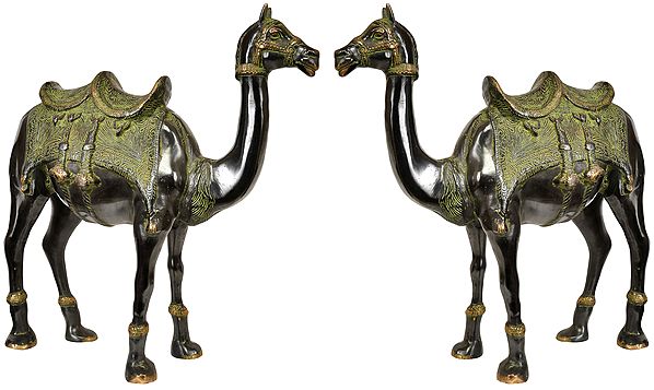 Pair of Camel Figurines - The Ship of Desert