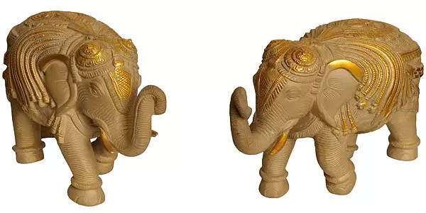 Ornamented Elephant Pair (Supremely Auspicious According to Vastu)