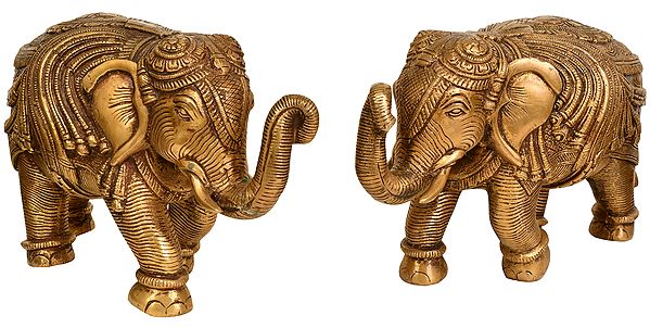 Ornamented Elephant Pair (Supremely Auspicious According to Vastu)