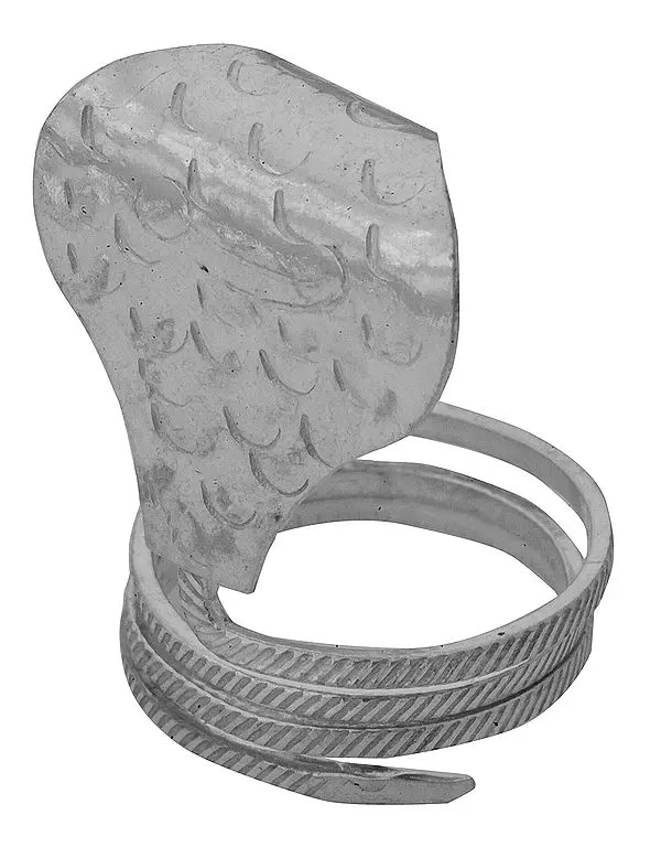 Sheath for Shiva Linga