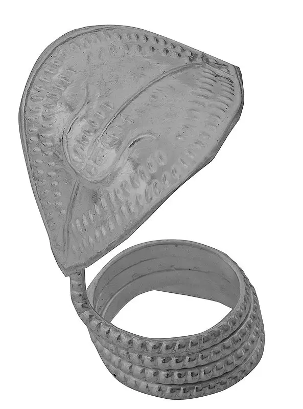 Sheath for Shiva Linga