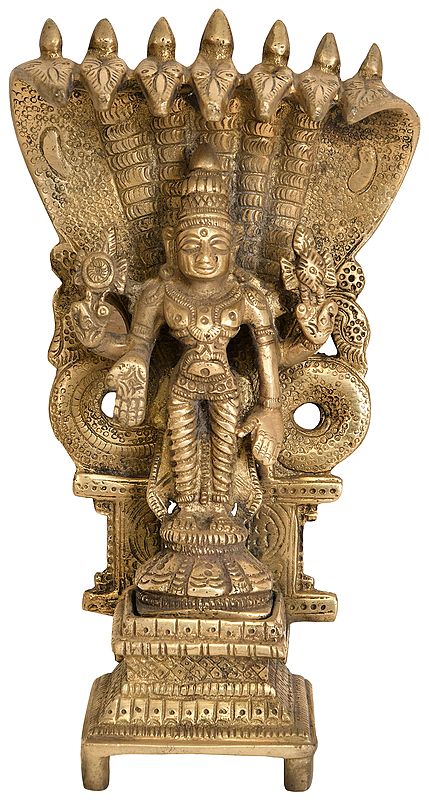 8" Four-Armed Standing Vishnu with Seven-Hooded Shesha Atop In Brass | Handmade | Made In India