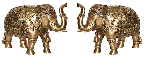 Pair of Elephant with Upraised Trunks (Supremely Auspicious Accroding to Vastu)