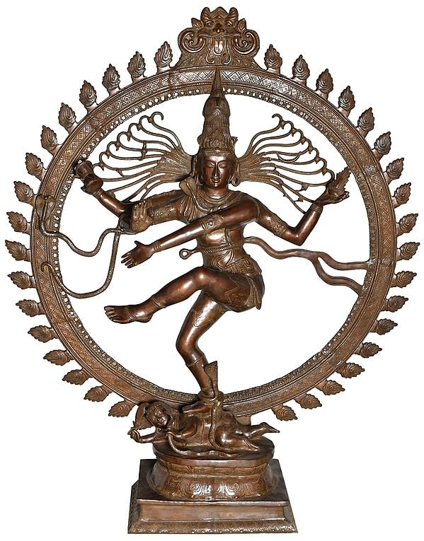 73" Super Large Size Nataraja In Brass | Handmade | Made In India