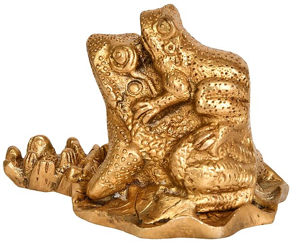 Pair of Feng Shui Frogs