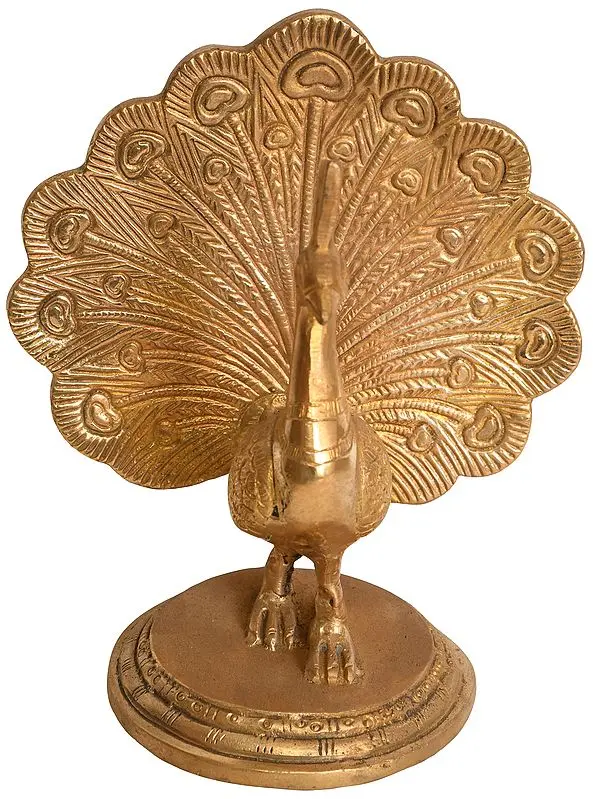 Dancing Peacock