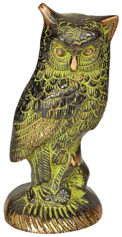 Owl Statue Crafted from Brass | Decorative Bird Statues