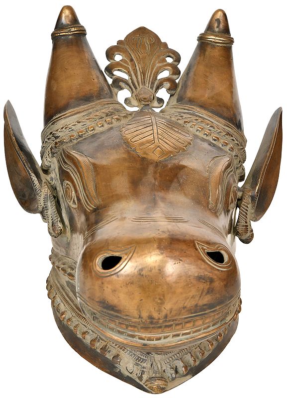 8" Nandi Head - Wall Hanging In Brass | Handmade | Made In India