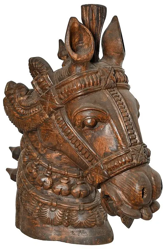 Horse Head