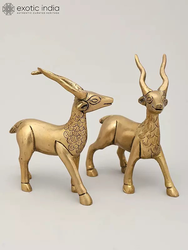 Pair of Deer Brass Figurines | Animal Statue for Decor