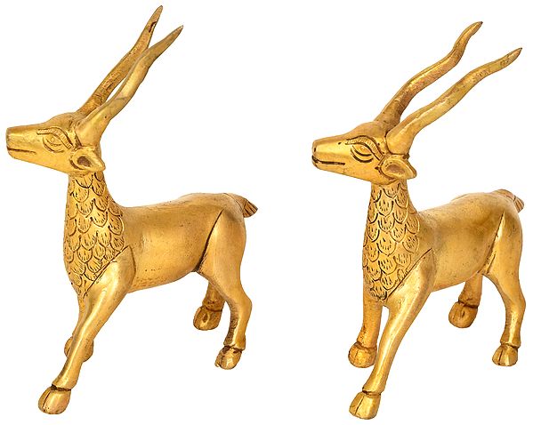 Pair of Deer Brass Figurines | Animal Statue for Decor