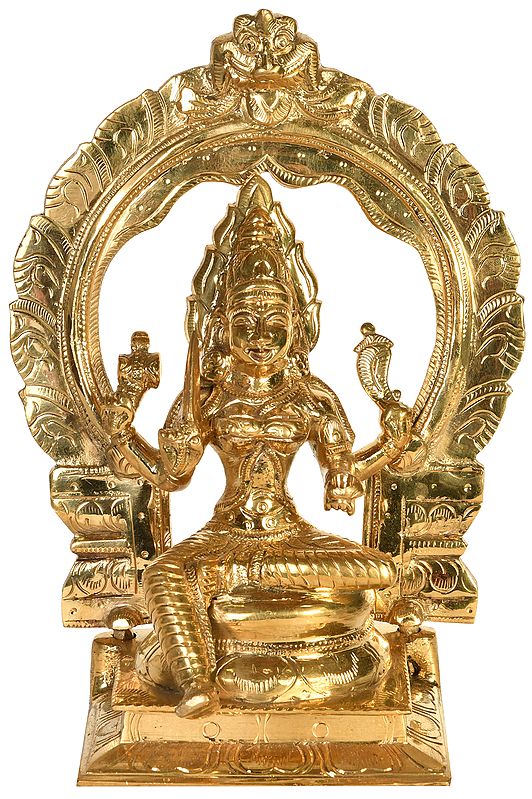 South Indian Goddess Mariamman