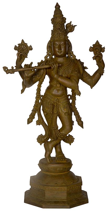 Cosmic Form of Lord Krishna