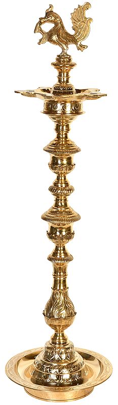 37" Peacock Lamp In Brass | Handmade | Made In India