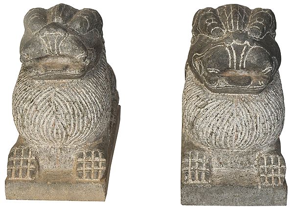 South Indian Temple Protector Lion Pair