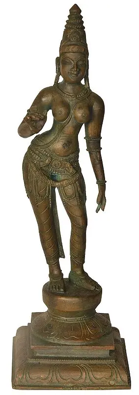 The Tall, Imposing Devi Parvati