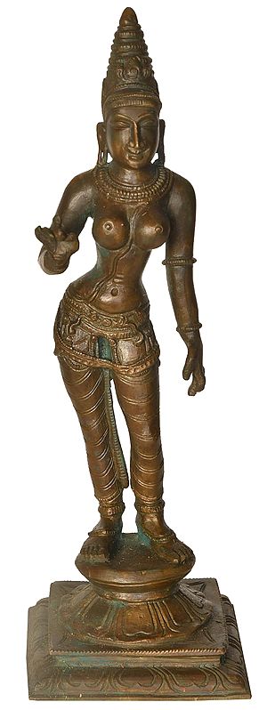 Standing Devi Parvati