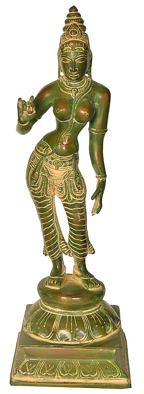 11" Goddess Parvati In Brass | Handmade | Made In India