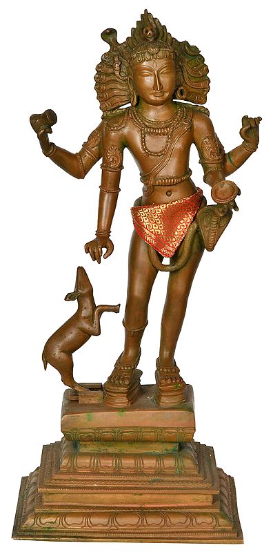 Superfine Bhikshasthana Shiva: The Enchanting Mendicant Who Seeks Alms