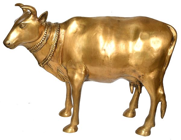 22" Large Size Cow - The Most Sacred Animal of India In Brass | Handmade | Made In India