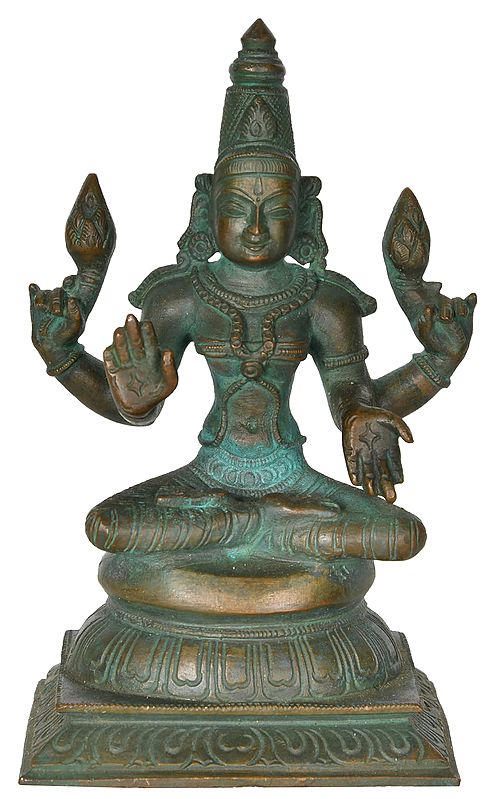 Lotus Lakshmi