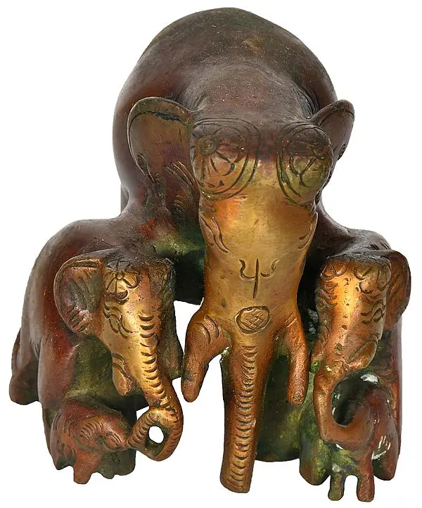Elephant Family