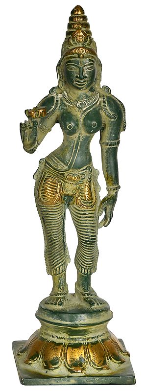 7" Devi Parvati Shivakamsundari In Brass | Handmade | Made In India