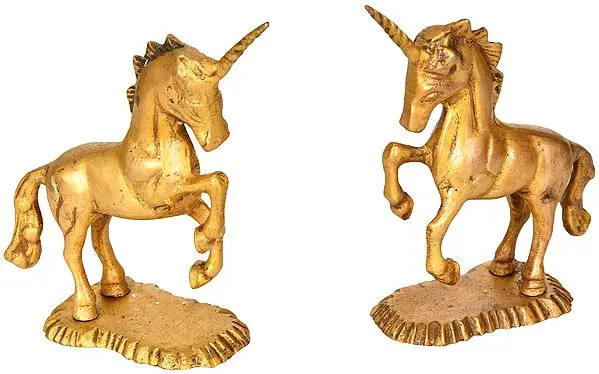 Pair of Unicorn