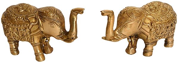 Pair of Upraised Trunk Elephants with Bell (For Vastu)