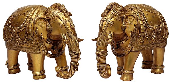 Pair of Ornamented Elephants