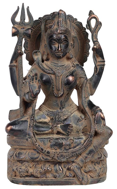 9" Ardhanarishvara In Brass | Handmade | Made In India