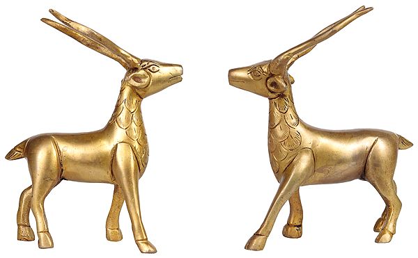 Pair of Antelopes