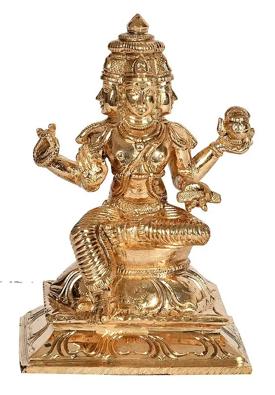 Bhagawan Brahma