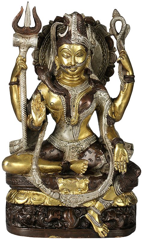 9" All is Nothing But Shiva and Parvati (Ardhanarishvara) In Brass | Handmade | Made In India