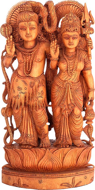 The Togetherness Of Shiva-Parvati