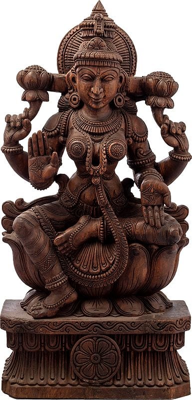 Haloed Lakshmi, Seated On A Freshly Bloomed Lotus