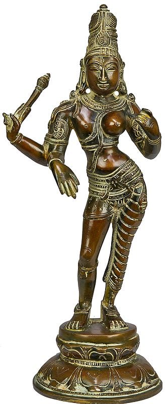 The Curvaceous Ardhanarishvara