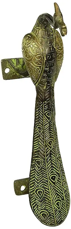 Peacock With The Graceful Plumage Door-handle