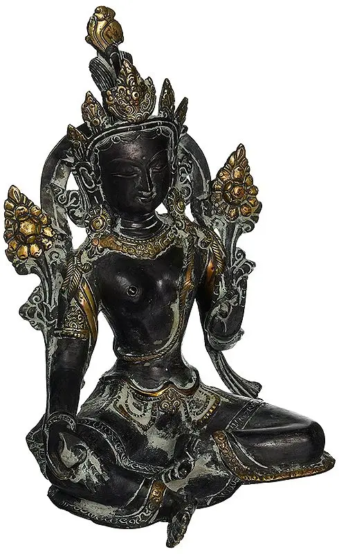 The Stately Tara, Seated