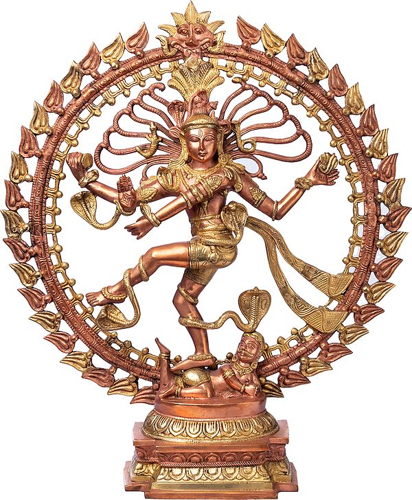 25" The Graceful Nataraja, His Form Clad In Ample Gold And Snakes In Brass | Handmade | Made In India