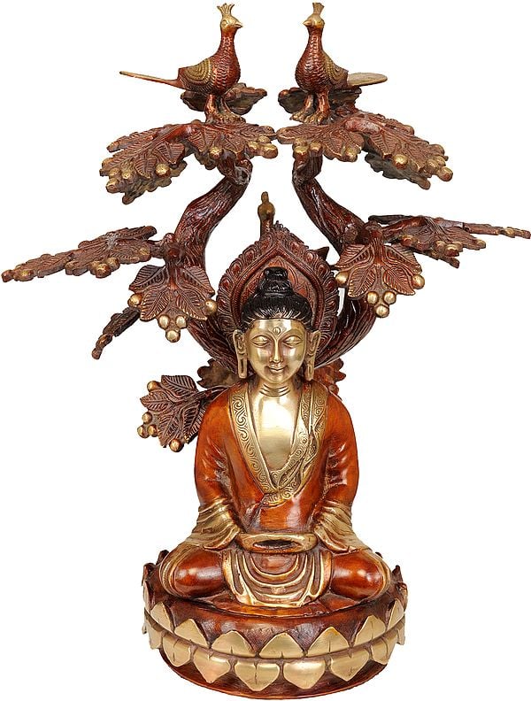 16" The Enlightened One, Seated Under The Symmetrically Sculpted Bodhi Tree In Brass | Handmade | Made In India